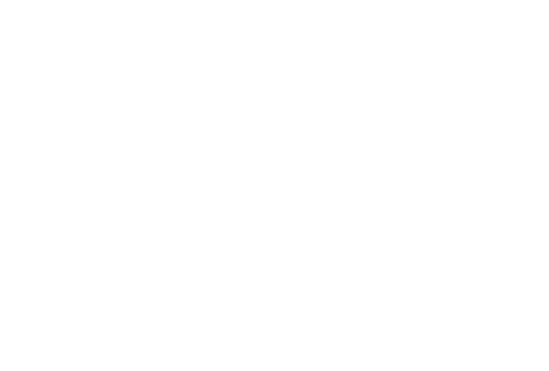 Zoom Design